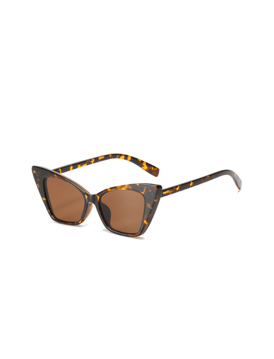 Gafas Cat Bold Café Oscuras Ref. GS-69
