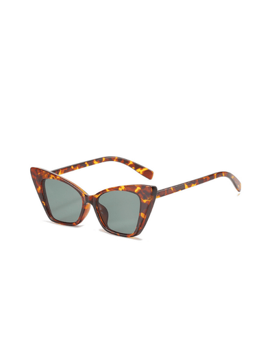 Gafas Cat Bold Cafe Ref. GS-69