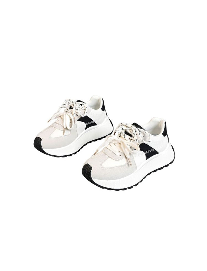 Zapato Dynamic Stride Negro Ref. SH162